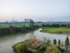 -鸽云轩(望牛墩店)