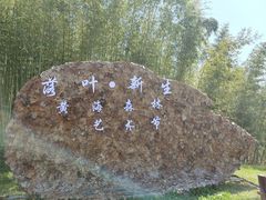 -黄海国家森林公园