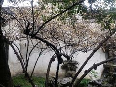 android_upload_pic-汪氏小苑