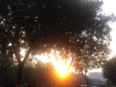 -sugarman espresso素饮糖人高新咖啡工厂
