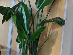 -粤界(望京金辉店)