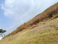 -七的湖·晚芳亭·阳澄湖农家菜·大闸蟹(莲花岛店)