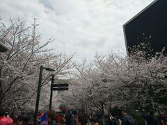 -万寿斋(山阴路店)