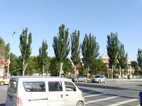 -蒙古大营·蒙古演绎餐厅(赛马场店)