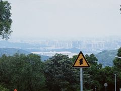 -黄埔油麻山森林公园