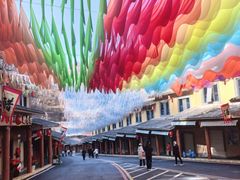 -栾川竹海野生动物园