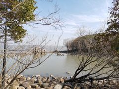 -上海吴淞炮台湾国家湿地公园