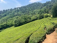 -敬亭山风景名胜区