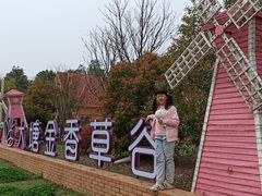 -大塘金香草谷
