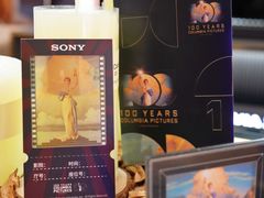-Sony Store 索尼(来福士店)