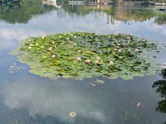 -荔枝公园(福田区)