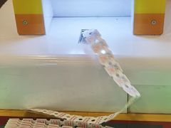 -汤姆熊欢乐世界(罗斯福店)
