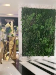 点击看大图 -Mregina 美人纪摄影(样片研发中心)