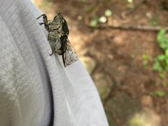 -云峰山自然风景区