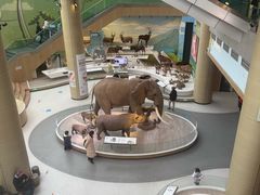 -陕西自然博物馆