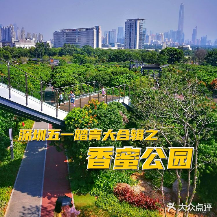 深圳游玩推荐|风景超美踏青十处好地方!!