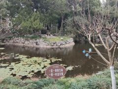 -叶家花园