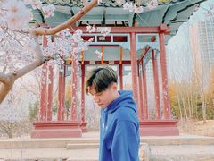 -满都海公园
