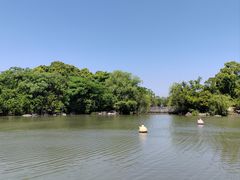 -上海吴淞炮台湾国家湿地公园