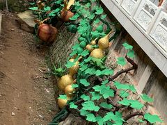 -丹东市五龙山风景区