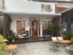 -有猫主题·治愈系猫咖(曾厝垵店)