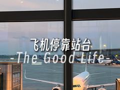 -青岛胶东国际机场