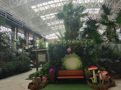 -郑州银基黄帝宫御温泉