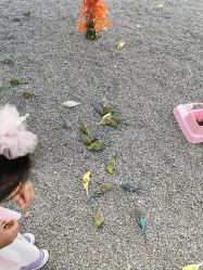 -萌宠亲子动物乐园(槐房万达店)