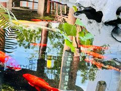 -道南書院·私房菜·早午茶·茶馆