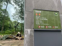 -中国大熊猫保护研究中心雅安碧峰峡基地