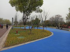 -澹台湖公园