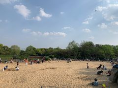 -青枫公园