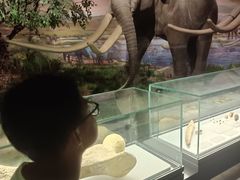 -湖南省地质博物馆