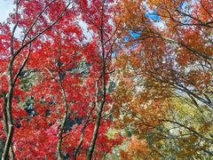 -叠溪松坪沟景区