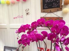 -燕庭·纯燕窝·甜品下午茶(南京西路店)
