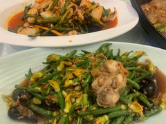 扇贝肉拌小黄瓜-双井轩(双井店)