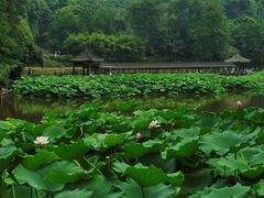 -龙头寺公园