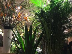 -春暖花开(西溪店)