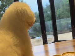 -J Create城市露营咖啡·简餐·宠物(上海动物园店)