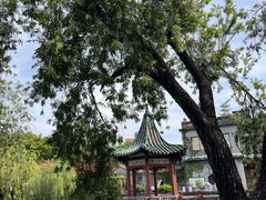 -东莞市可园博物馆