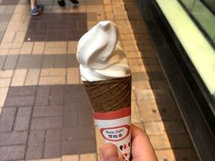 -富豪雪糕车流动点(尖沙咀店)