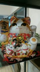 -京都造型·烫发·染发