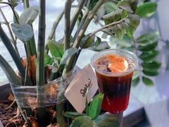 -Seesaw Coffee(苏州中心店)