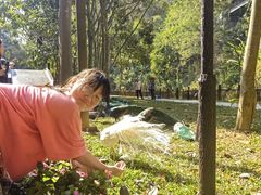 -西双版纳原始森林公园