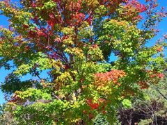 -长春世界雕塑园