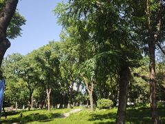 -方庄体育公园
