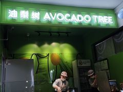 -油梨树AVOCADO TREE(顺义新国展店)