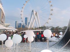 -宝安西湾红树林湿地公园