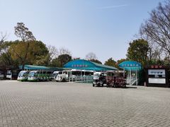 -上海海湾国家森林公园