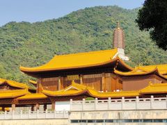 -深圳仙湖植物园